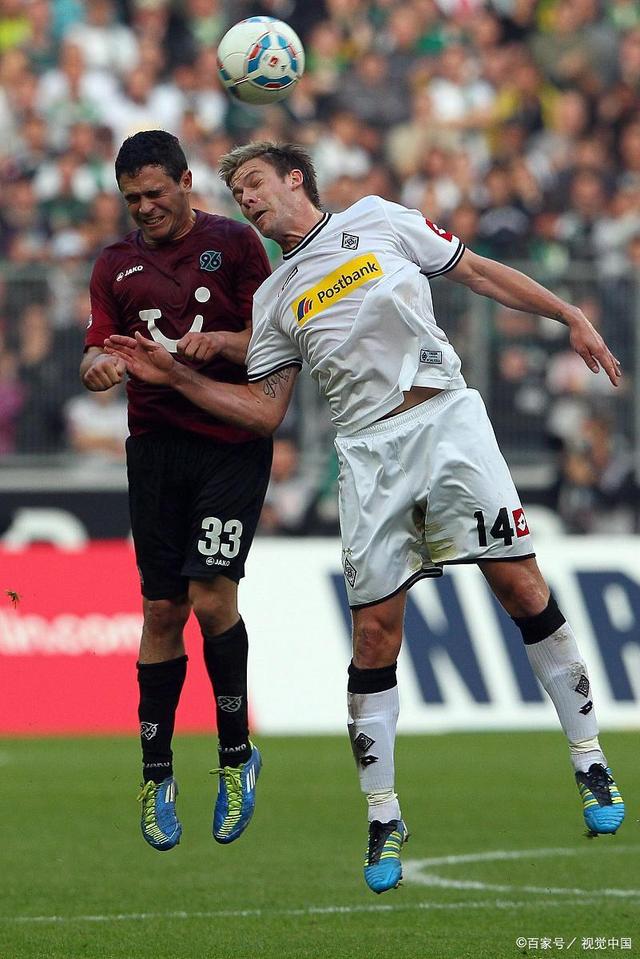 19男篮的 19男篮的