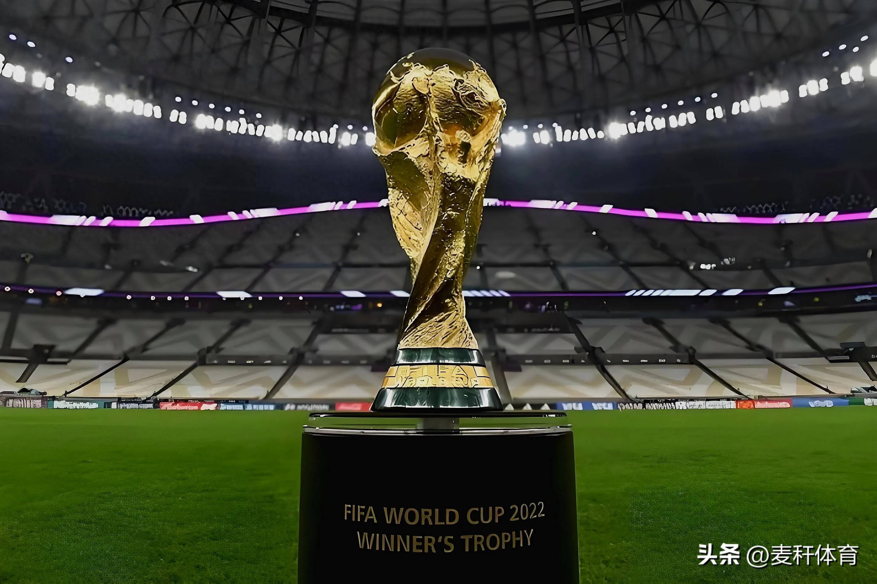 表现的真实 表现的真实