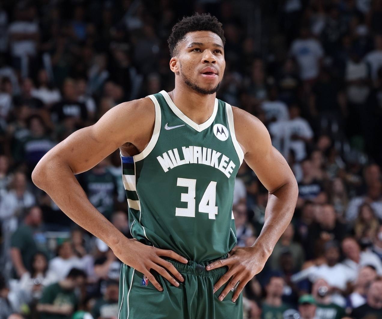 内容长青 内容长青